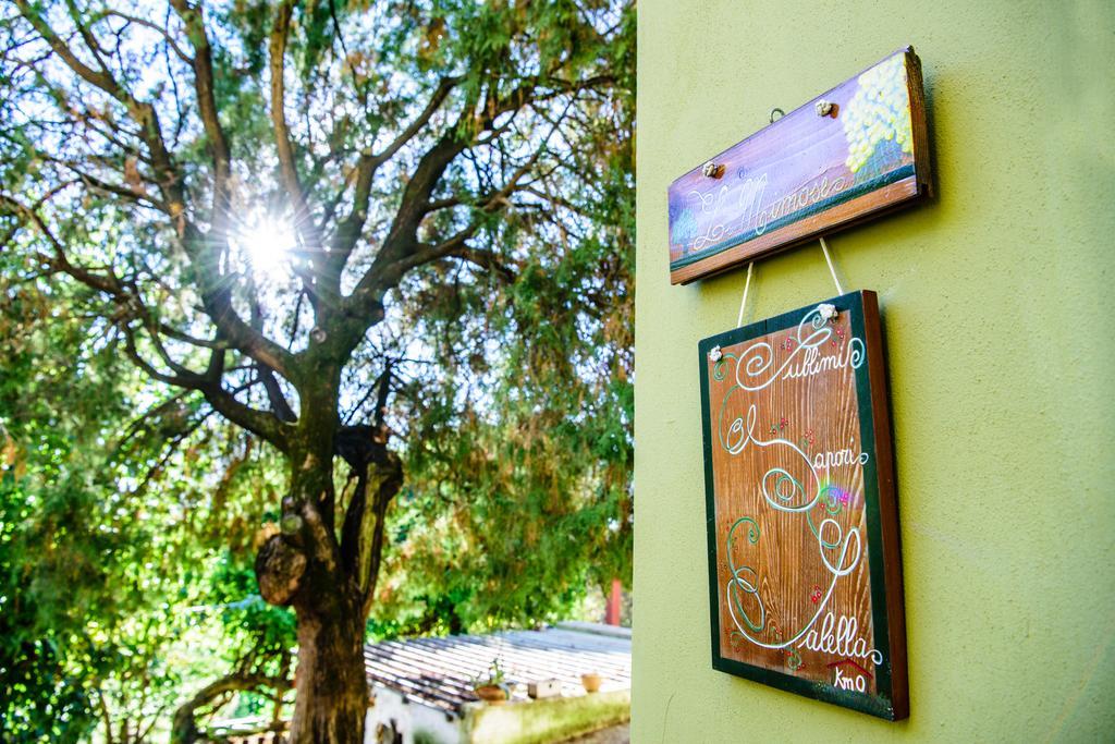 Acasamia Resort San Cipriano Picentino Exterior photo
